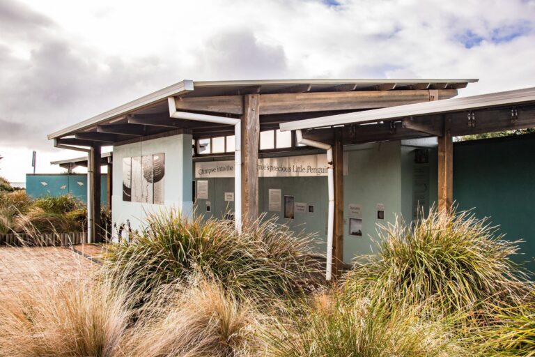 Little Penguin Observation Centre