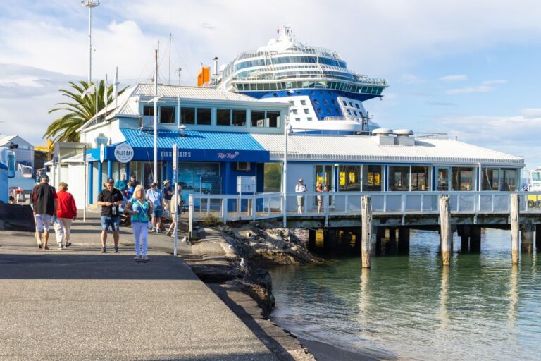 726159-the-mount-ocean-sport-club-with-cruise-ship-celebrity-edge-in-the-background-at-pilot-bay-mount-maunganui-web-1080px